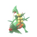 Mega-Sceptile