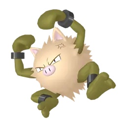 Mankey Brillante